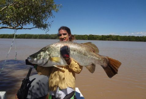Huge Barramundi Fish Gove NT