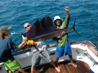Giant Sailfish catch