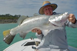 silver headland barramundi from arnhem land