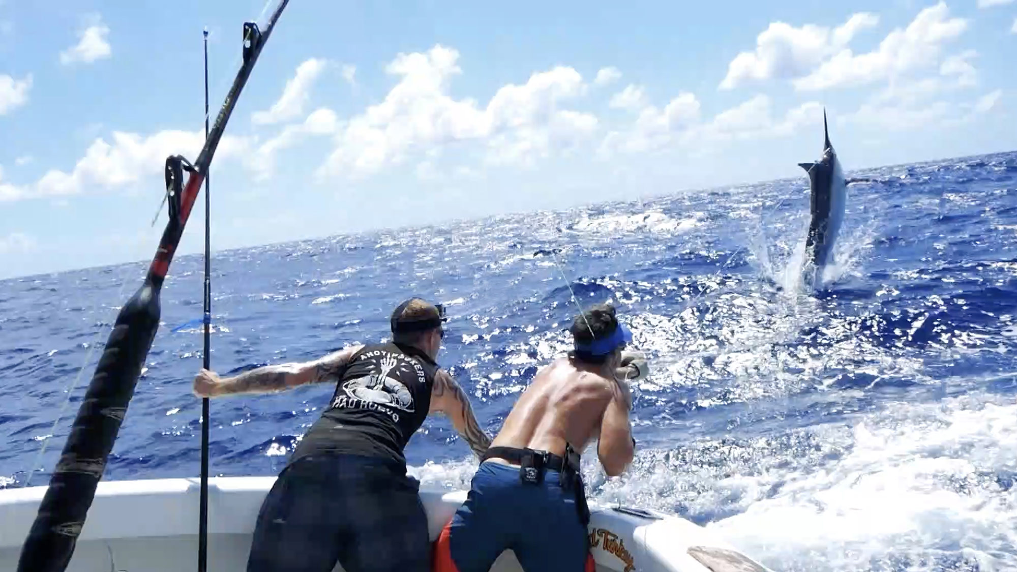 Marlin fishing charter Cairns