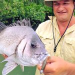 Blubber-lips Bream Plectorhinchus gibbosus or Harry Sweetlips. This fish comes by many names. Caught in the NT with Australian Sportfishing Charters