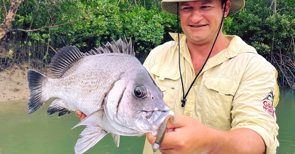 Blubber-lips Bream Plectorhinchus gibbosus or Harry Sweetlips. This fish comes by many names. Caught in the NT with Australian Sportfishing Charters