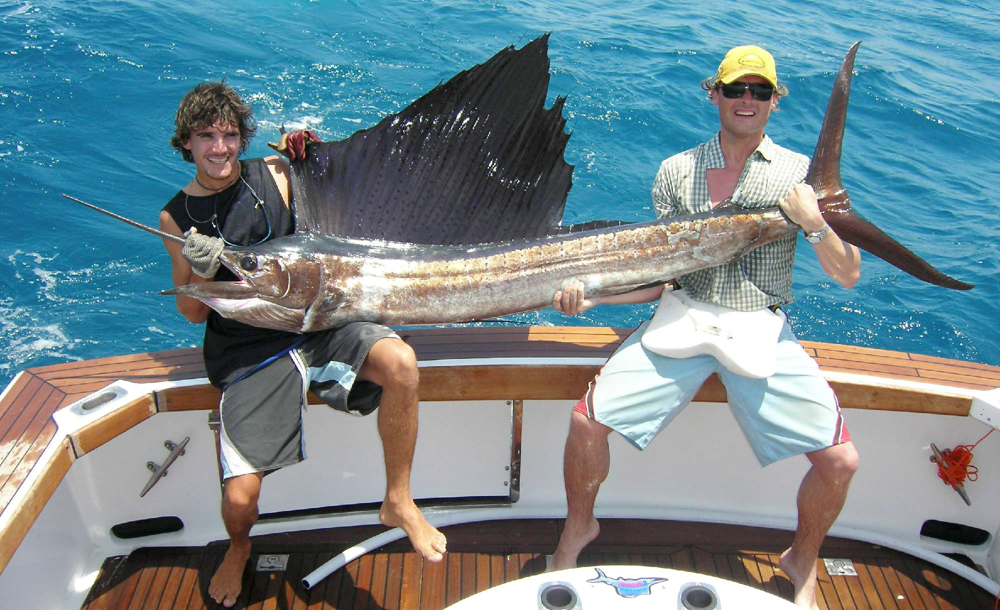 Cairns fishing charters sons with an amazing Sailfish catch on Wild Turkey in the Great Barrier Reef