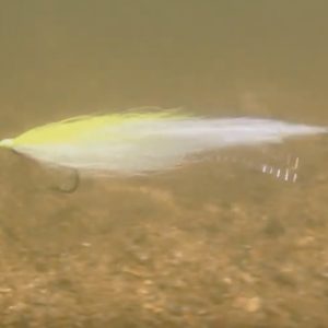 Clouser Minnow Fly in the water