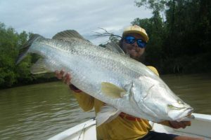 Huge barramundi fish