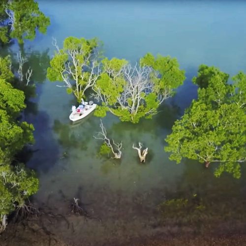 fishing Arnhem Land mangrove coastland