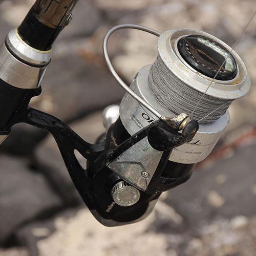 fishing rod with bale