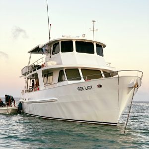 Iron lady mothership for Australian Sportfishing Charters