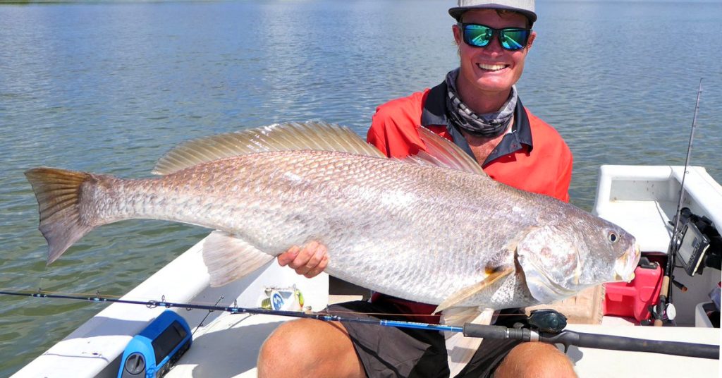 Black Jewfish (Protonibea diacanthus)