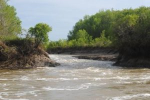 Roper river fishing