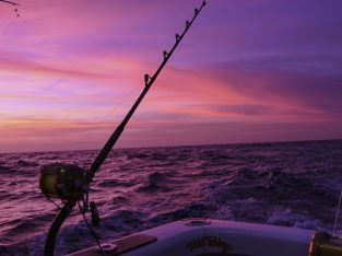 fishing in the purple sunset