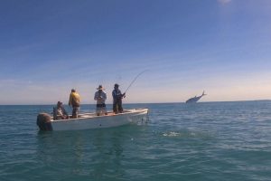 four men in a boat landing a jumping fish