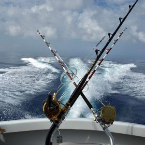 Rods on Wild Turkey sportfishing vessel
